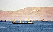 Mehrere Containerschiffe auf dem Wasser vor einer bergigen Landschaft, die den Suezkanal symbolisieren. Das Bild veranschaulicht die aktuelle Lage der globalen Lieferketten, auf die SupplyX vorbereitet ist.